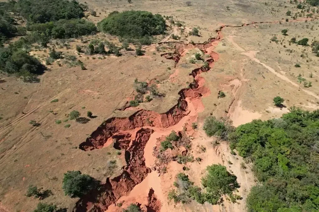 Imagem de compartilhamento para o artigo Projeto investe R$ 6,7 milhões na restauração ambiental da Bacia do Rio Taquari da MS Todo dia